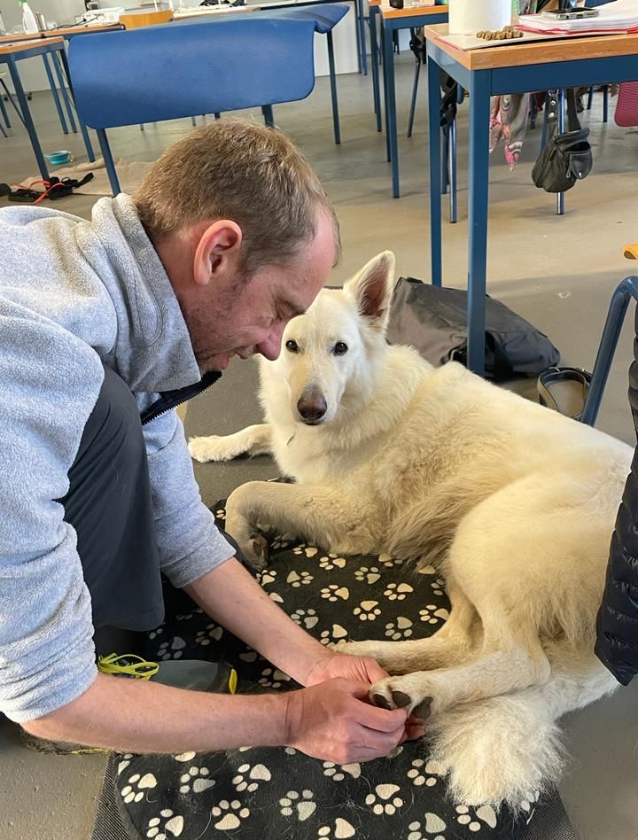 Hundephysiotherapeut bei der Ausbildung