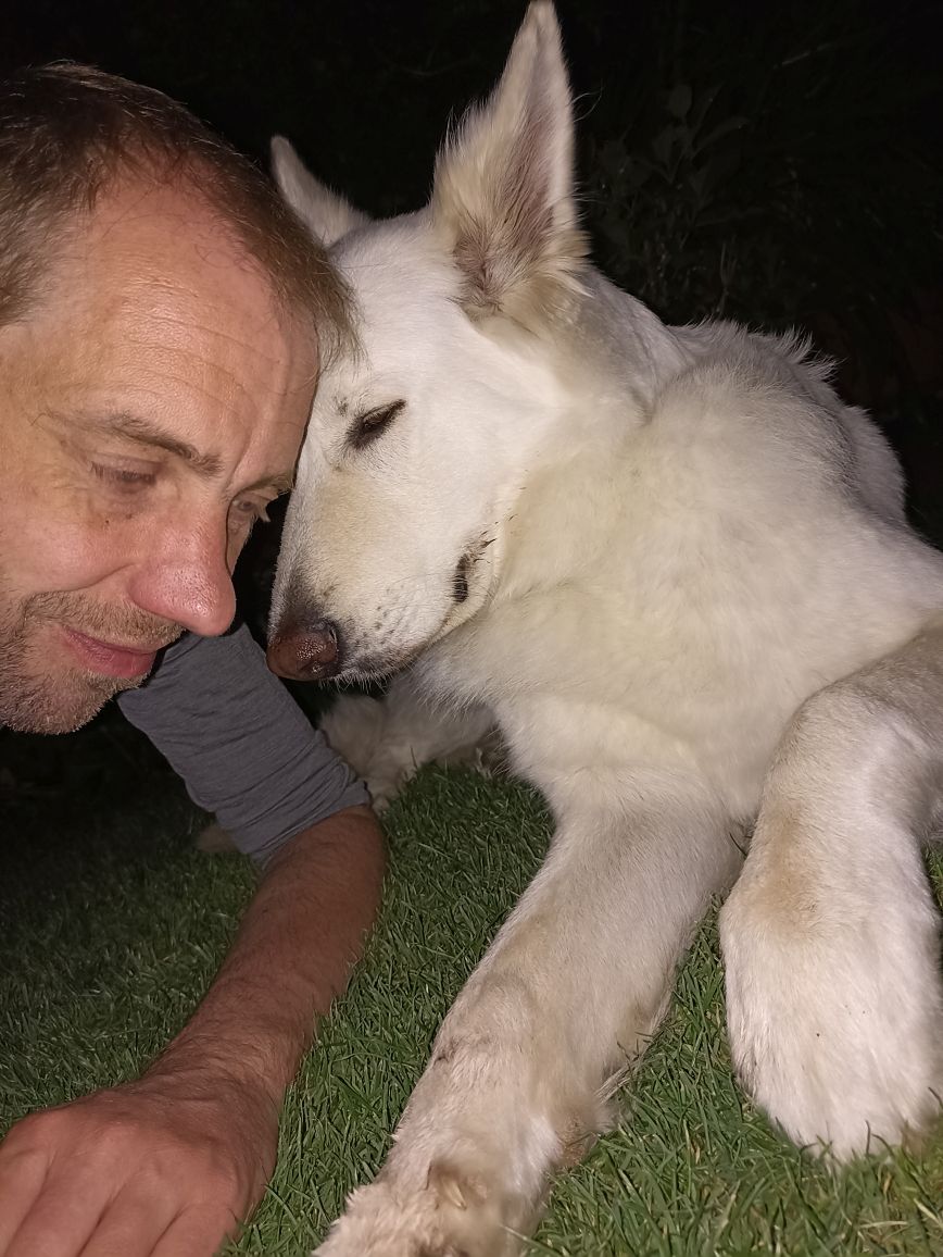Hundephysiotherapeut mit Hund