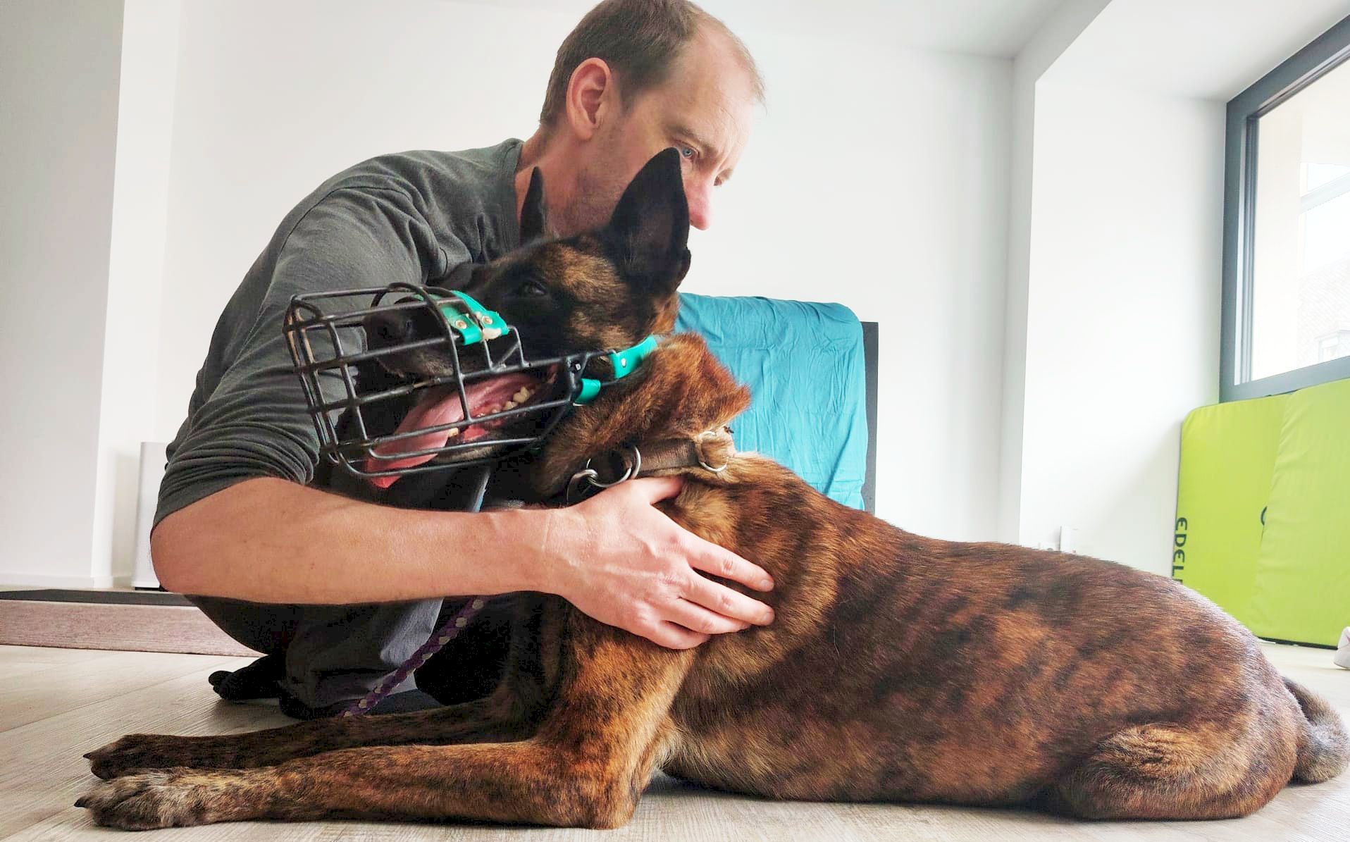 Anamnese in der Hundephysiotherapie Untersuchung und Befundung in der Hundephysiotherapie